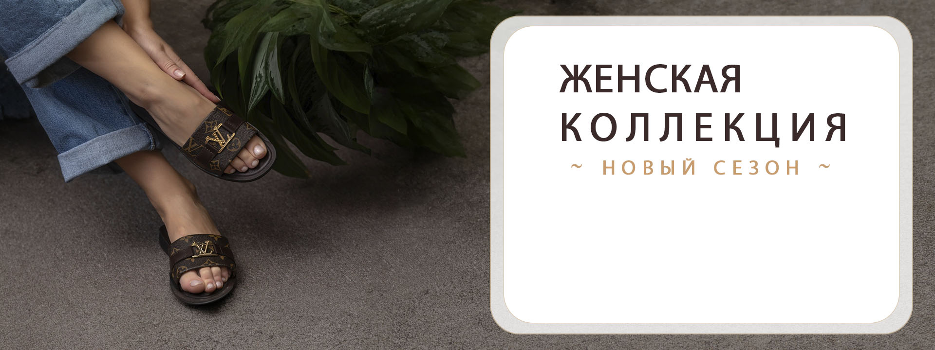 ЗИМА